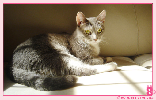 sunny_day_ash_10.jpg