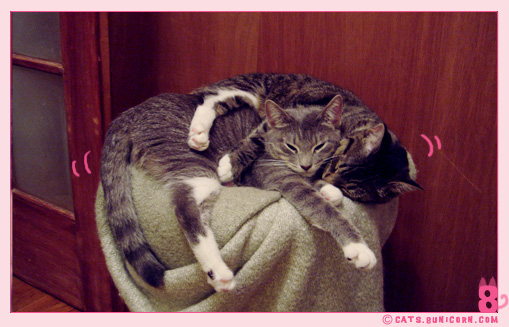 two_in_one_bed.jpg