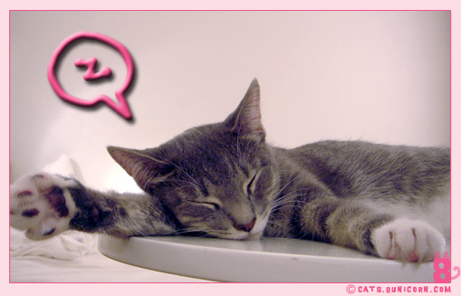 blog_update_3.jpg