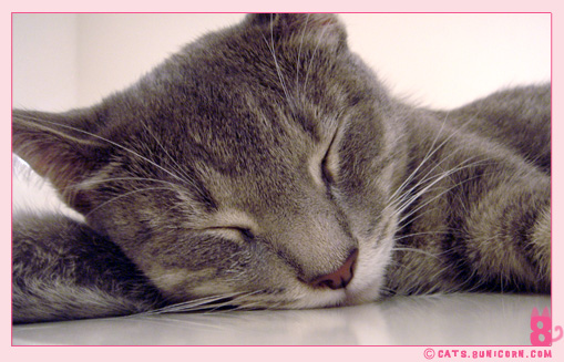 blog_update_4.jpg