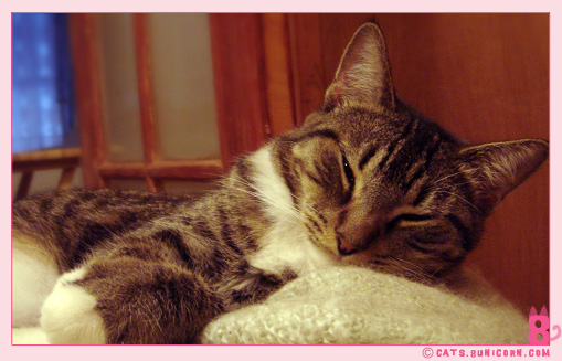 noa_ash_sleeeppyy_1.jpg