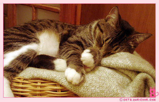 noa_ash_sleeeppyy_2.jpg