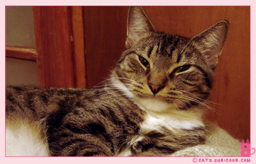 noa_ash_sleeeppyy_3.jpg