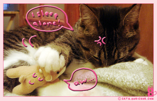noa_ash_sleeeppyy_5.jpg
