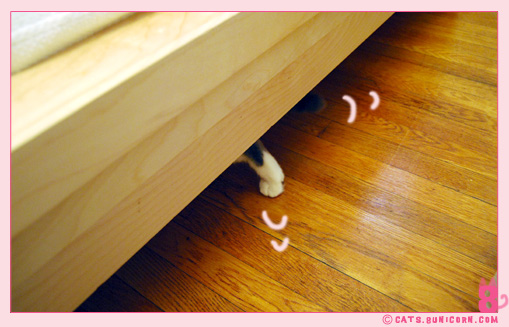 ash_mouse_toy_hide_1.jpg