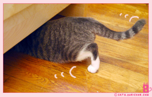 ash_mouse_toy_hide_2.jpg
