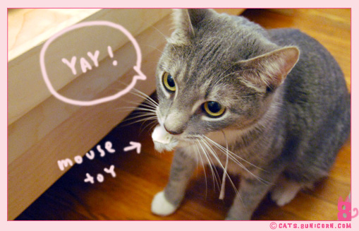 ash_mouse_toy_hide_3.jpg