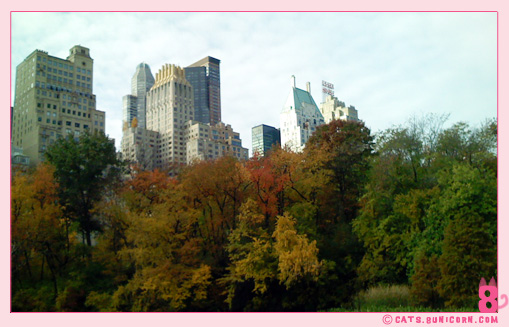 central_park_ny_fall_2007_02-2.jpg