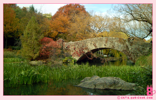 central_park_ny_fall_2007_02.jpg