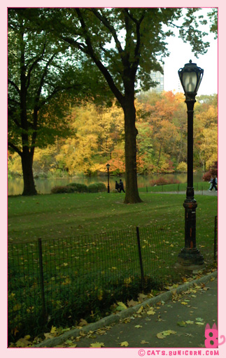 central_park_ny_fall_2007_04.jpg