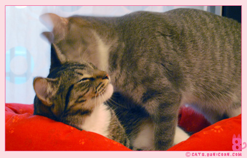 going_to_bed_noa_ash_3.jpg