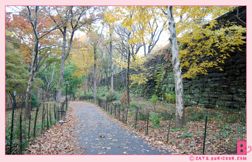 hudson_river_park_fall_01.jpg