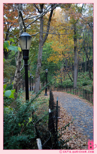 hudson_river_park_fall_010.jpg