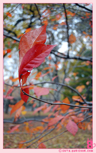 hudson_river_park_fall_0102.jpg