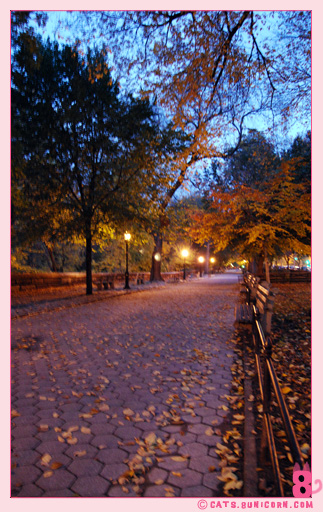 hudson_river_park_fall_0104.jpg