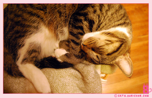 kawaii_noa_sleeping_014.jpg