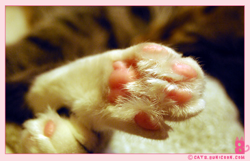 kawaii_noa_sleeping_016.jpg