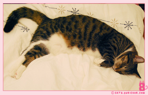 noa_sleeping_happy_02.jpg
