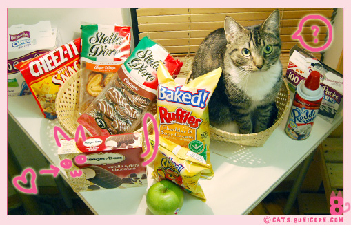 sweet_ice_hungry_kittens_3.jpg