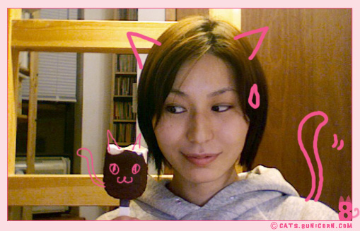 sweet_ice_hungry_kittens_4.jpg