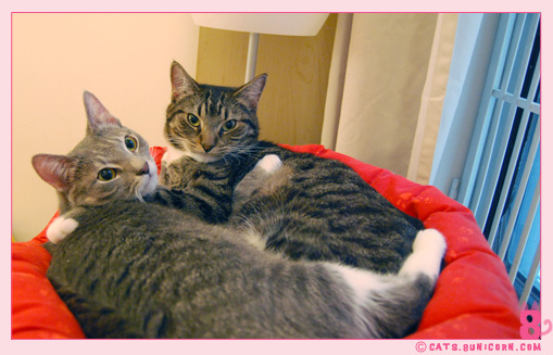 ash_is_mine_noa_10.jpg