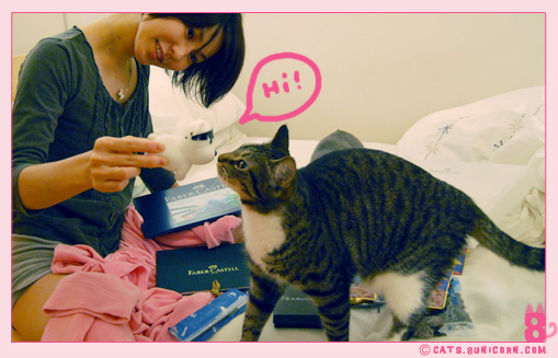 birthday_present_noa_ash_00.jpg