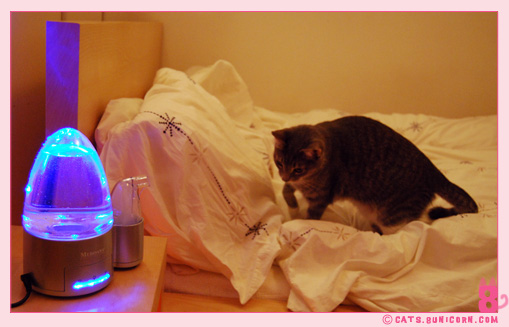 humidifiter_noa_ash_01.jpg