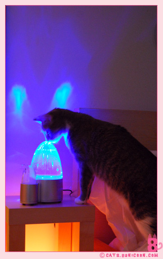 humidifiter_noa_ash_0100.jpg
