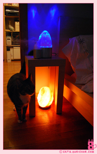 humidifiter_noa_ash_01001.jpg