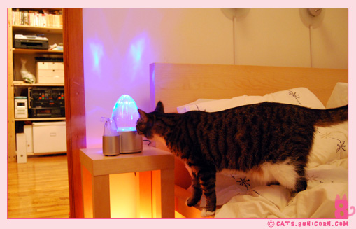 humidifiter_noa_ash_02.jpg