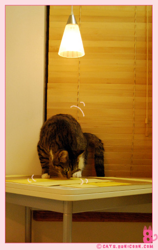 hungry_noa_102.jpg