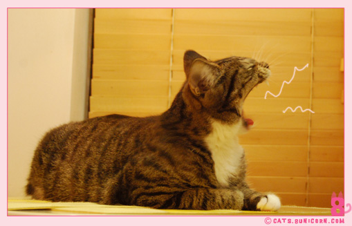hungry_noa_15.jpg