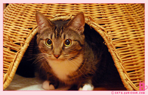 hunter_eyes_noa_02.jpg
