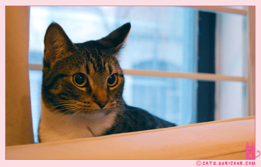 hunter_eyes_noa_03.jpg