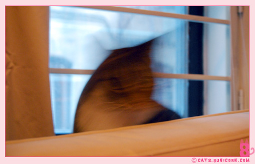 hunter_eyes_noa_04.jpg