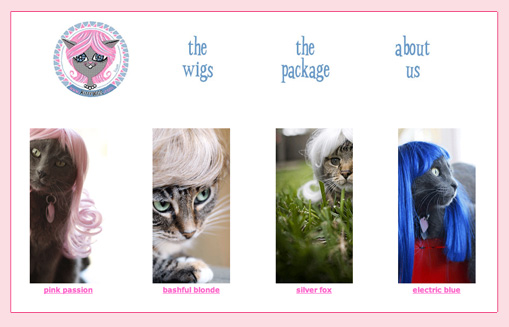 kitten_wigs.jpg
