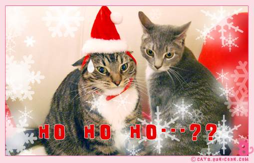 merry_xmas_01001.jpg