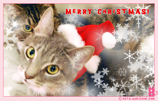 merry_xmas_01002.jpg