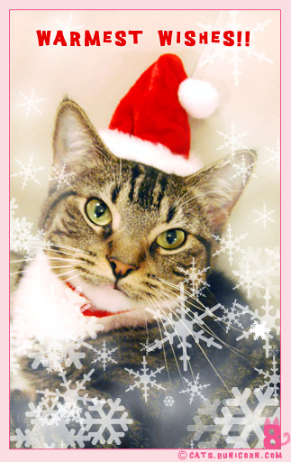 merry_xmas_01003.jpg
