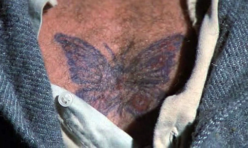 papillon_02.jpg