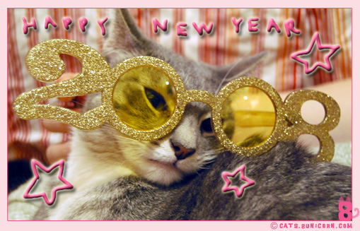 noa_ash_2008_happy_1.jpg