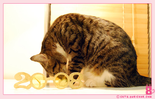 noa_ash_2008_happy_2.jpg