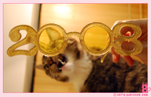 noa_ash_2008_happy_3.jpg