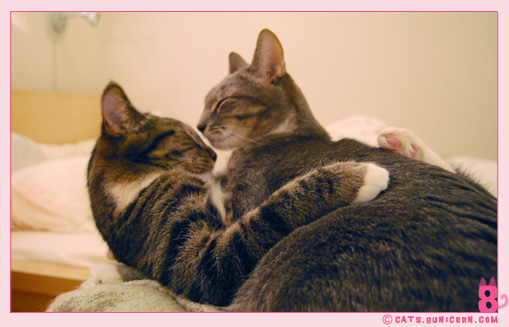 noa_ash_lovely_love_011.jpg