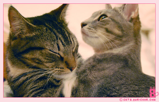 noa_ash_lovely_love_0111.jpg