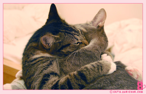 noa_ash_lovely_love_012.jpg