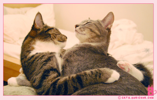 noa_ash_lovely_love_014.jpg