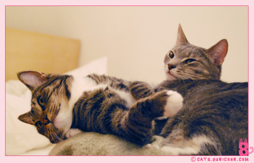 noa_ash_lovely_love_016.jpg