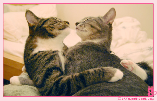 noa_ash_lovely_love_03.jpg
