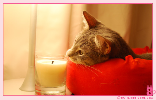 origins_candle_noa_ash_01.jpg